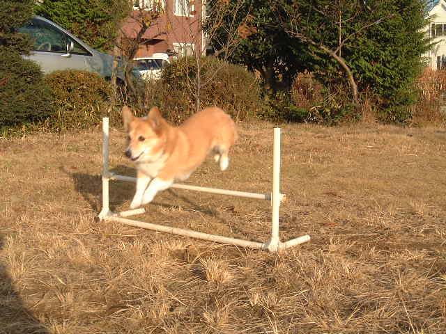 DSCF0319.JPG
