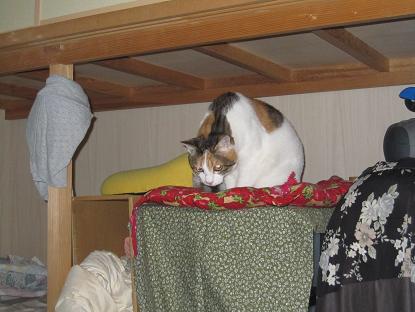 IMG_3110f.JPG