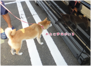 1021ゆらら6.jpg