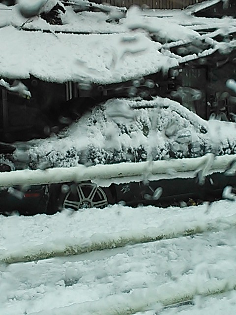 雪景色 004.JPG