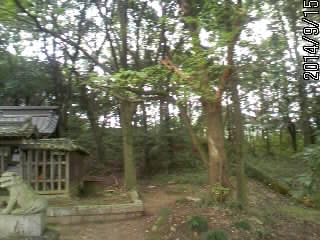 後ろの土塁