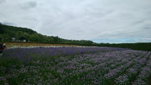 rblog-20180615132315-01.jpg