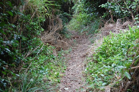 s-DSC_0880.jpg