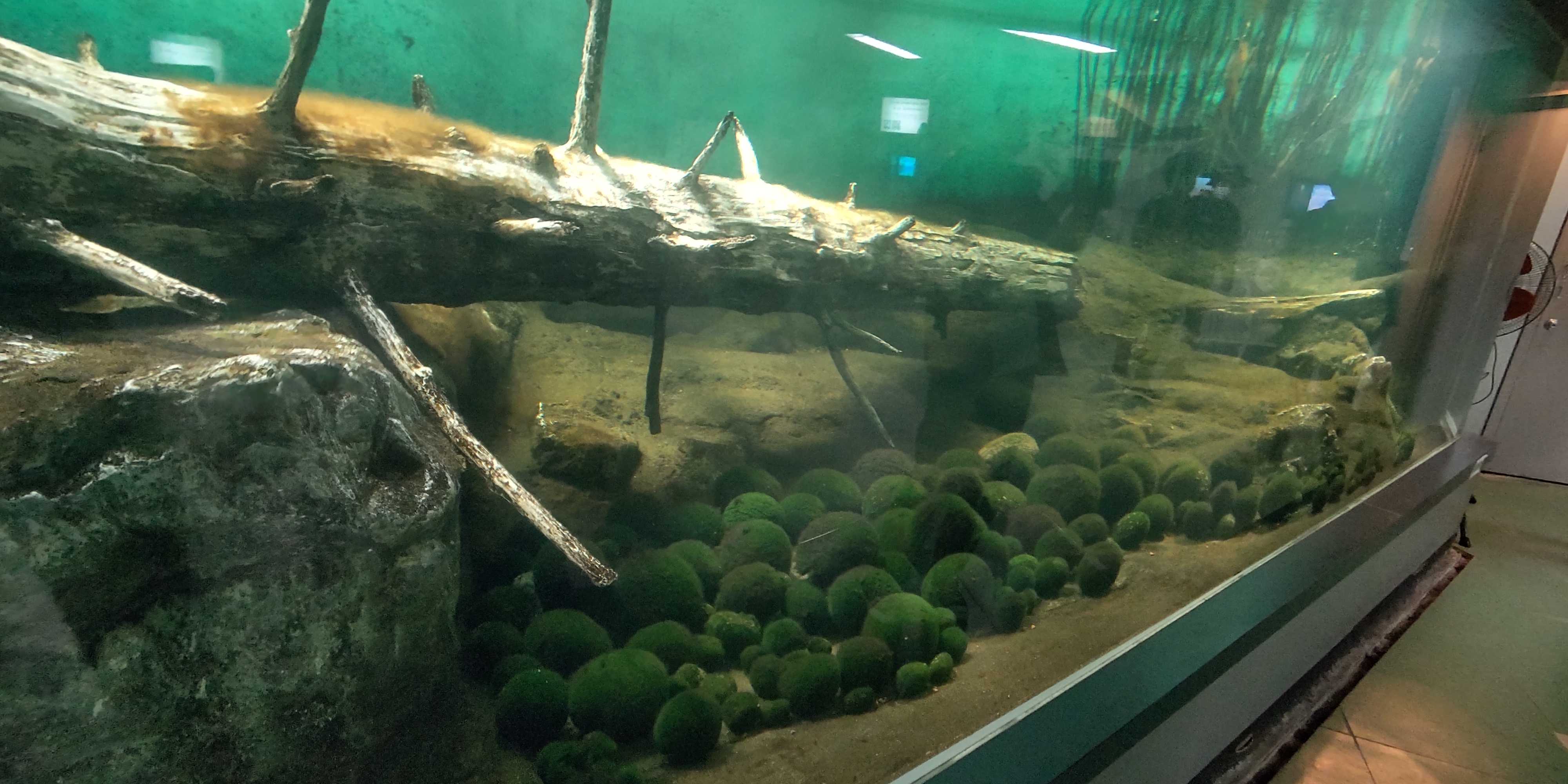 北海道ツーリング 6日目 阿寒湖 美幌峠 北見へ バイクと登山とゴルフと旅行が趣味 楽天ブログ 北海道ツーリング 6日目 阿寒湖 美幌峠 北見へ バイクと登山とゴルフと旅行が趣味 楽天ブログ