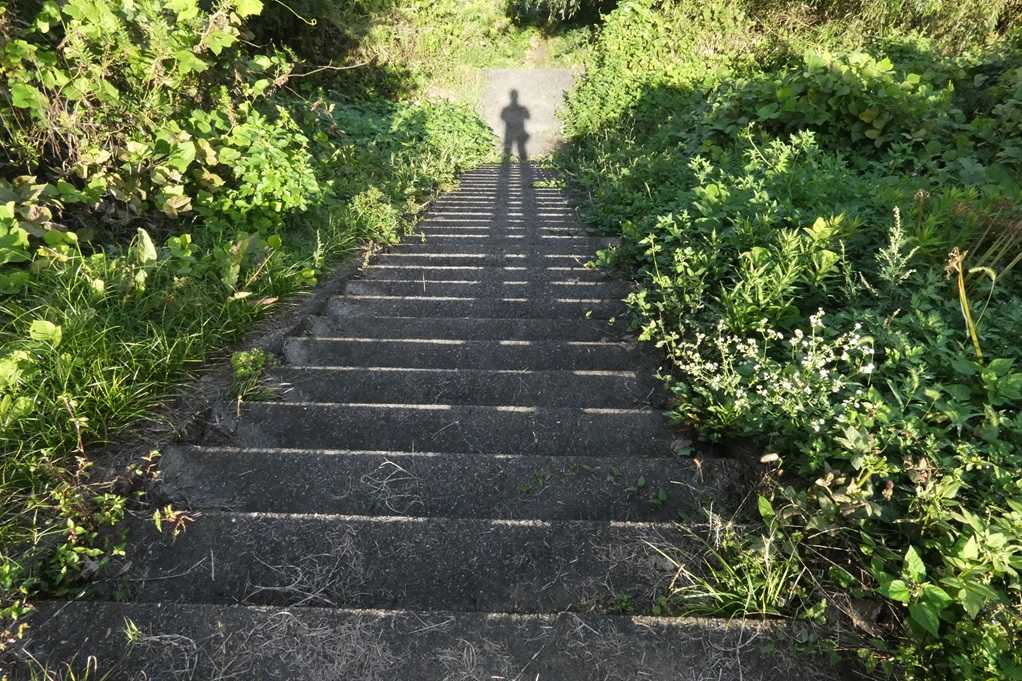 515