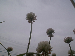 conv0476.JPG