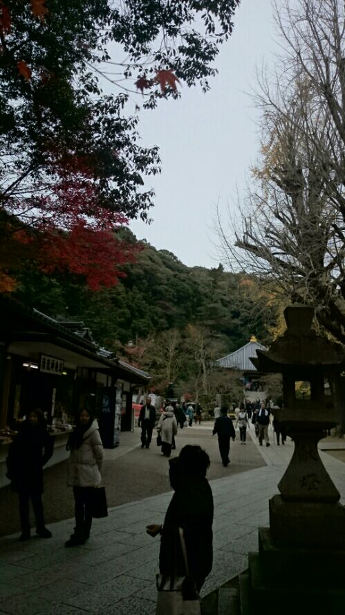 rblog-20151206110309-01.jpg