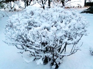 016 のコピー.jpg