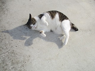 IMG_4373ss.jpg