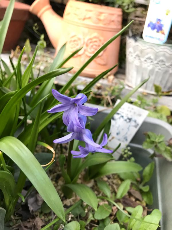 rblog-20190324174434-04.jpg