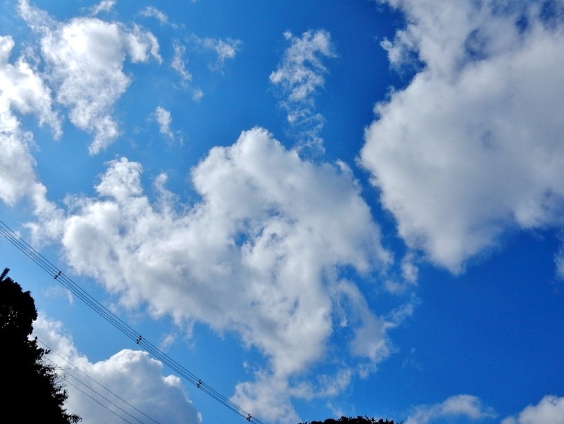 空 3.JPG
