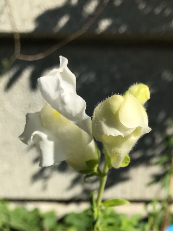 rblog-20181029111101-01.jpg