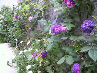 2012-04-20 07:56:43