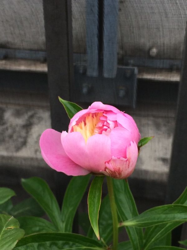 rblog-20140514112139-02.jpg