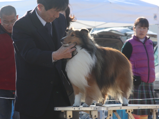 IMG_0374 - コピー.JPG