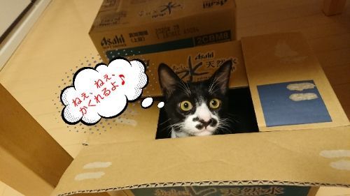 rblog-20180926210516-00.jpg