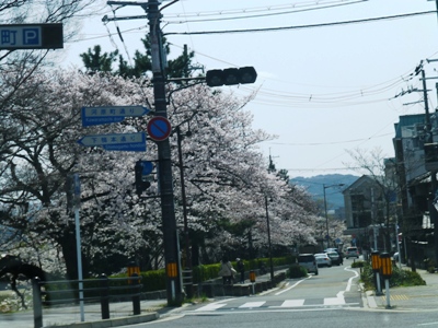 P1010566.JPG
