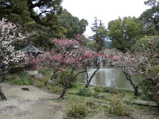 2012_0318_133015-CIMG0417.jpg