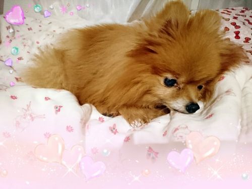 rblog-20170604210132-01.jpg