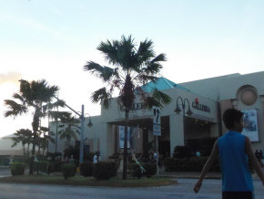 r1.jpg