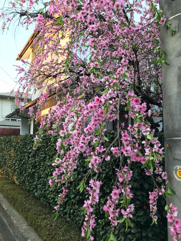 rblog-20180408182540-07.jpg