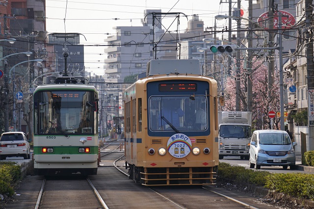 都電 7000形 さよなら 青帯3