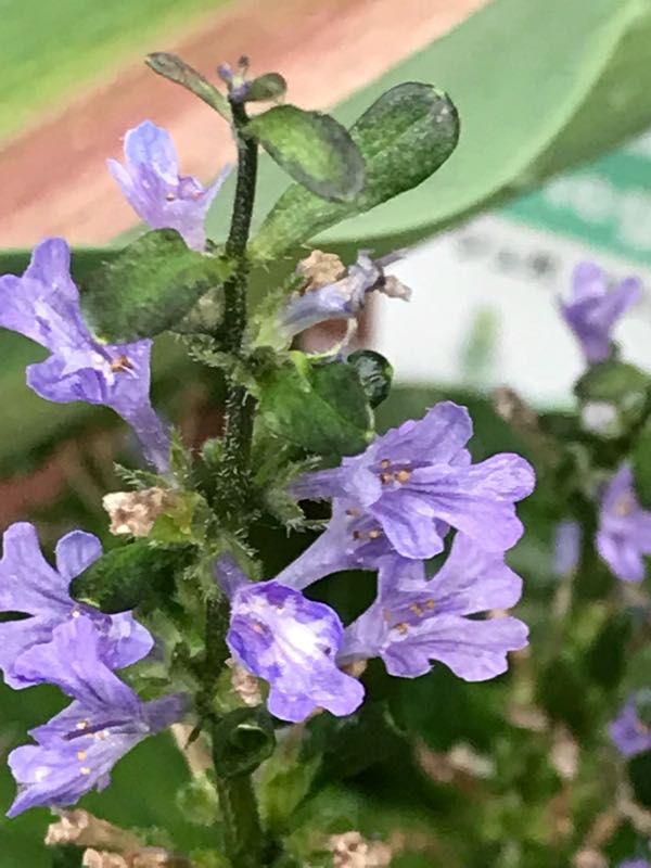 rblog-20180430175651-02.jpg