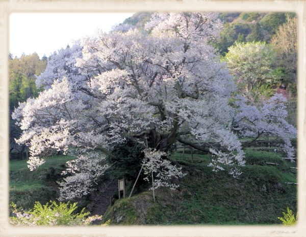 buturyujiyanen