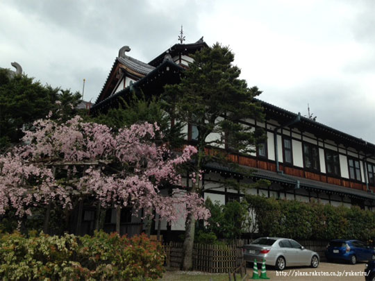 nara2015041108.jpg