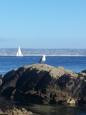 20140223_143150.jpg