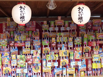 P1080958.jpg