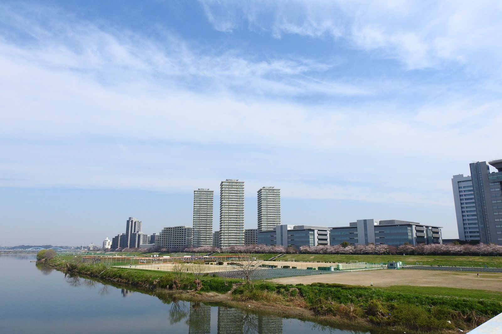 3月26日月曜、暖かく花見には良い日。 | 野性の大田区(東京都大田区自然探訪記) - 楽天ブログ