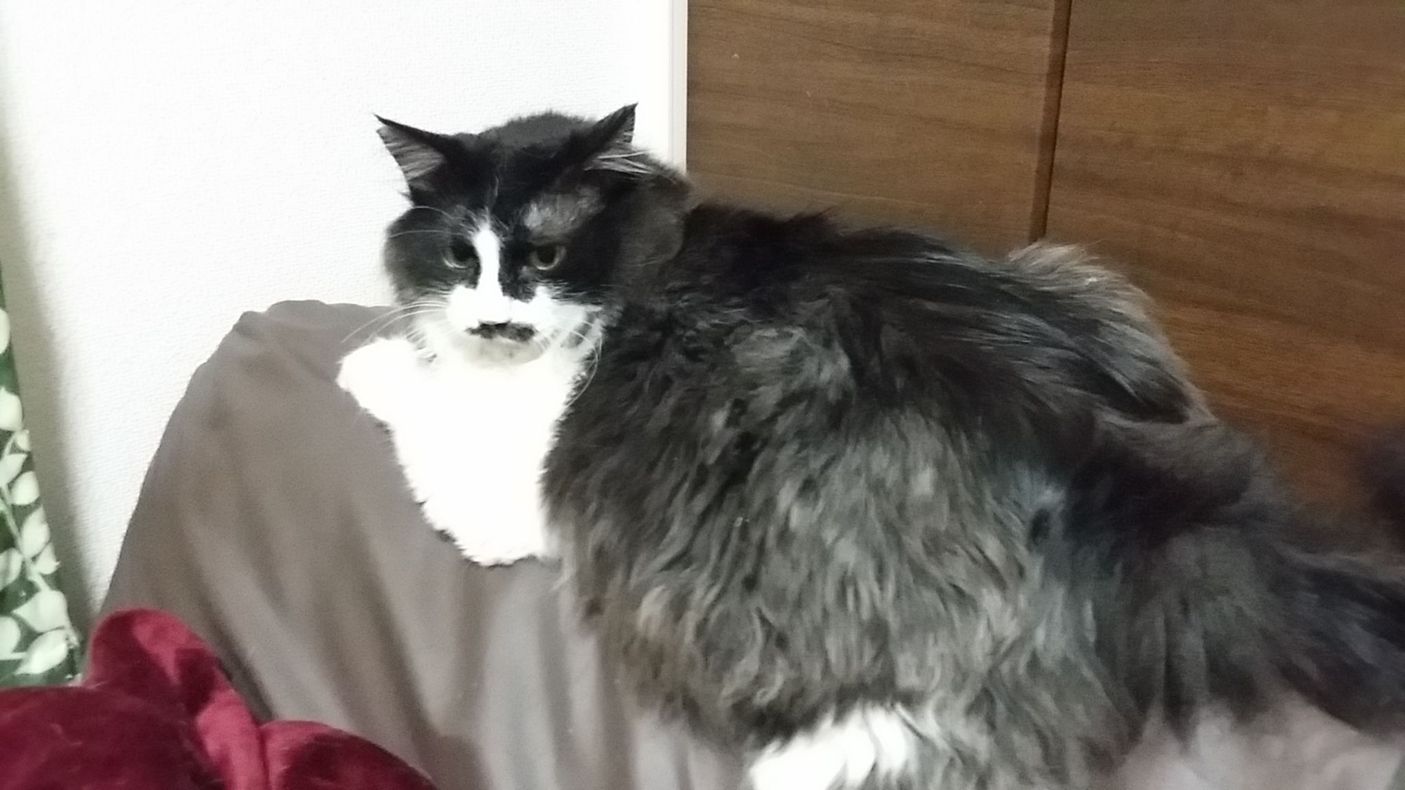 さんちゃんは 花屋な日々 楽天ブログ