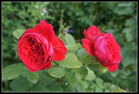 DSC02003.JPG