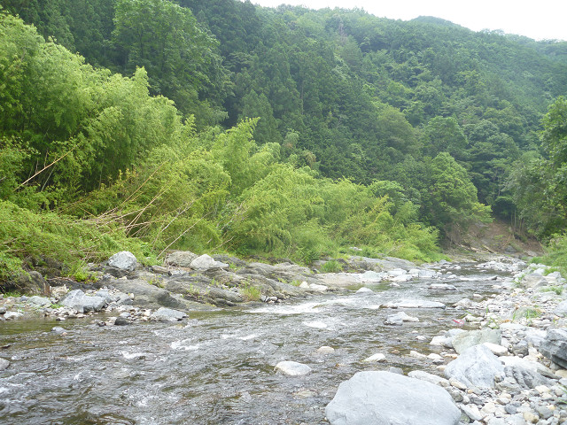 resize0008.jpg