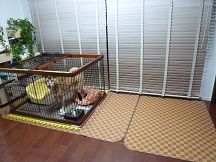 P1020045 - コピー.JPG