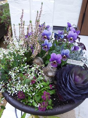 ベリーさん風の寄せ植え