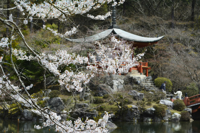 醍醐寺8