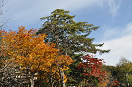 寺家公園