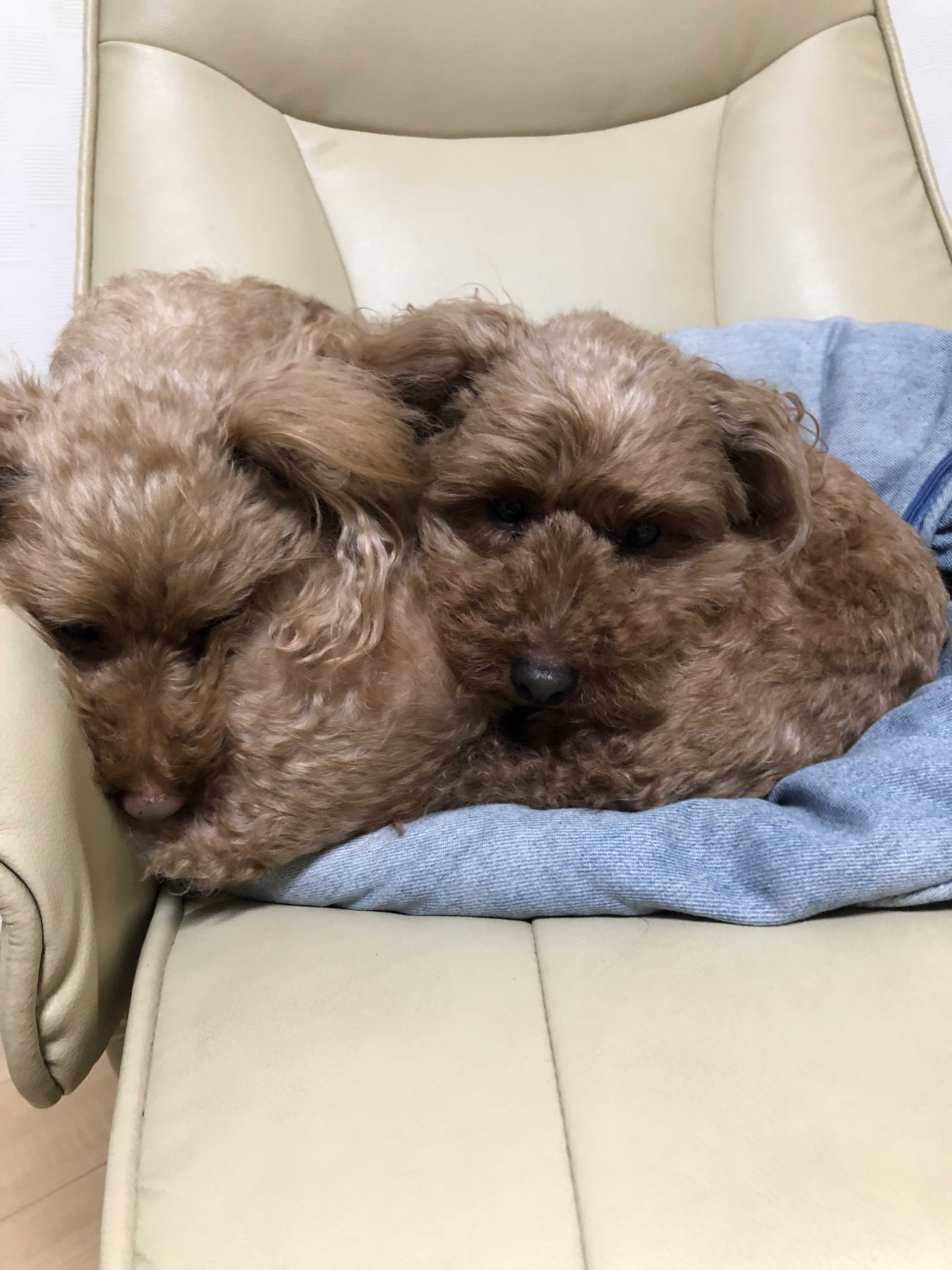 さとママのハッピーなセカンドライフ