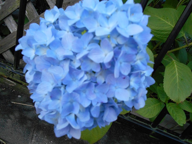 DSCN0556.JPG