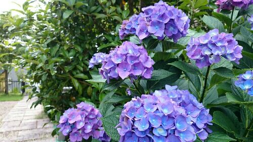 rblog-20160624145345-00.jpg