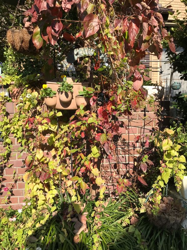 rblog-20181103151333-01.jpg