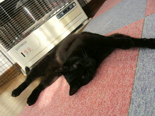 2013010210290001.jpg