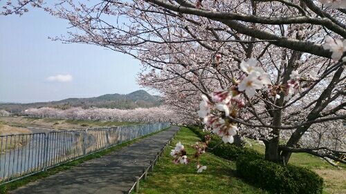 rblog-20180401184034-07.jpg