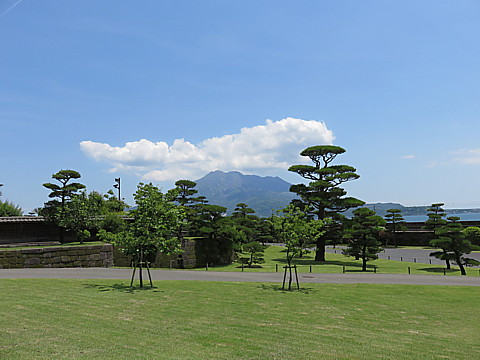 IMG_1342.jpg