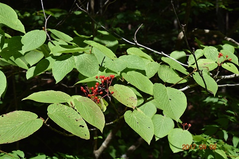DSC_0183.jpg