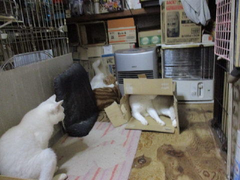 16a0516.jpg