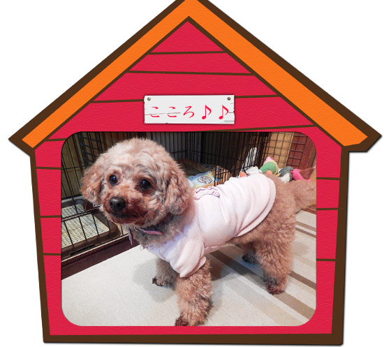こころ２４
