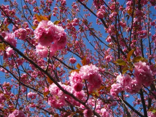 IMG_1062.jpg